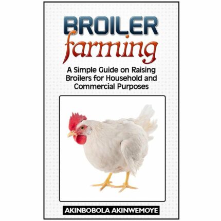 simple guide on raising broilers