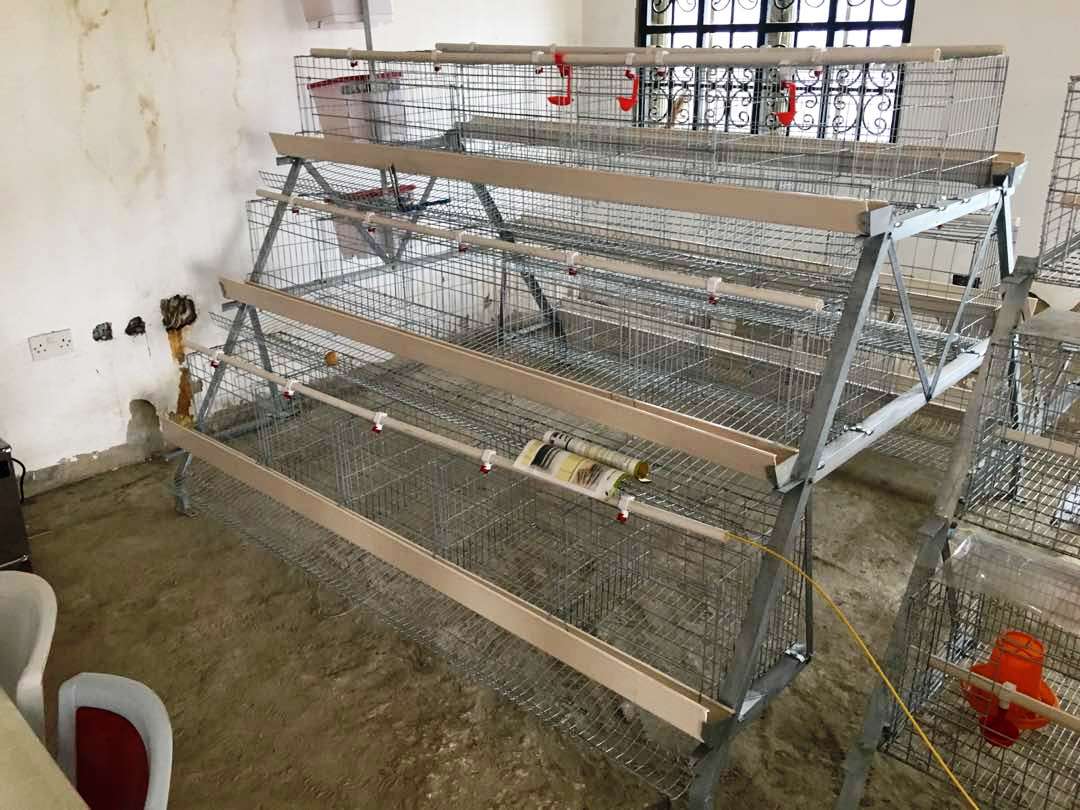 imported poultry cage