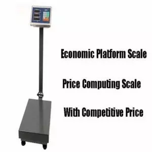 Electronic Platform Scale (300 kg Capacity)