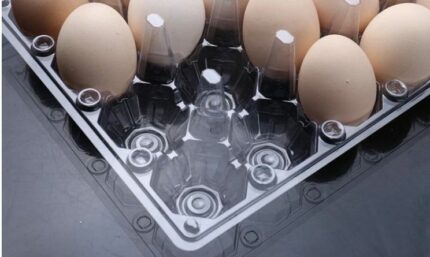 Transparent egg crate