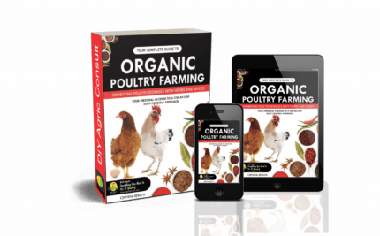 Guide to organic poultry farming
