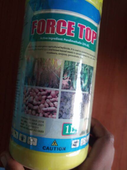 force top