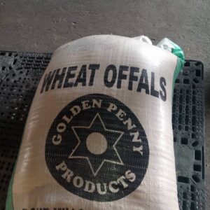wheat offal