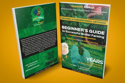beginners guide to broiler farming