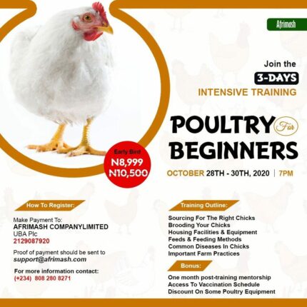 poultry for beginners