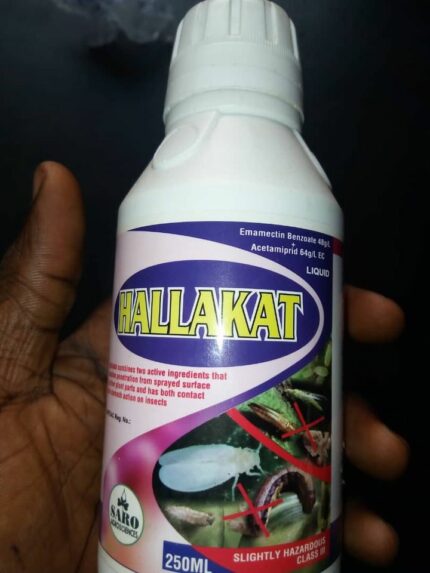 Hallakat insecticide