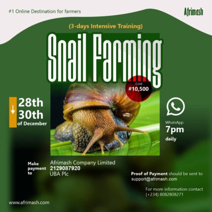 snail farming webinar