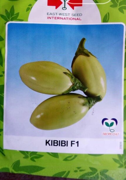Eggplant African Kibibi