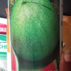 watermelon kaolack