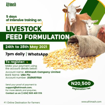 Livestock Feed Formulation Webinar