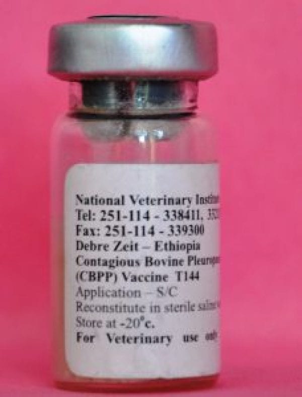 CBPP Vaccine