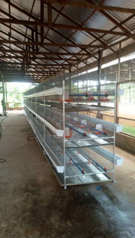 battery cages for broilers