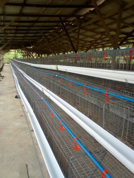 120 capacity battery cages