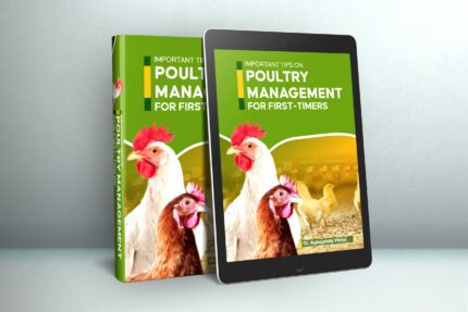 Poultry Management For First-Timers