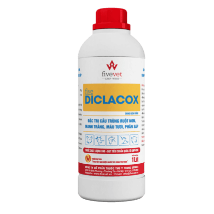 Five-DICLACOX