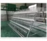 Imported Poultry Feeder